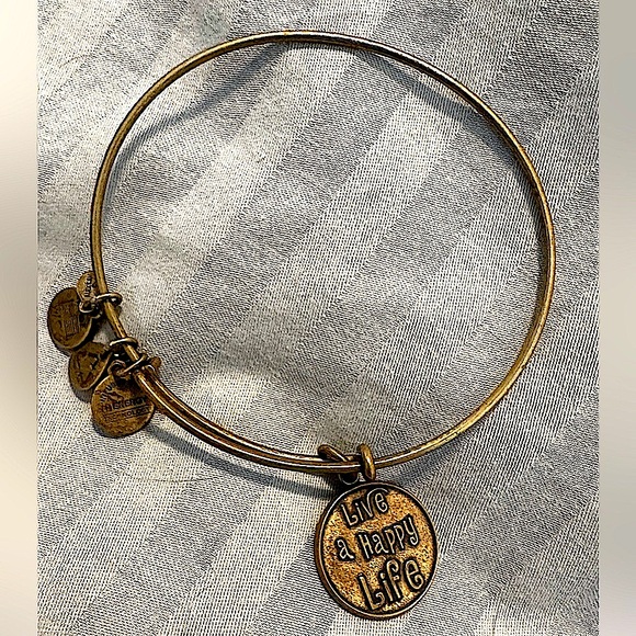 Gently worn Alex & Ani - Rafaelian Gold - Bangle - 2014 - Picture 3 of 4